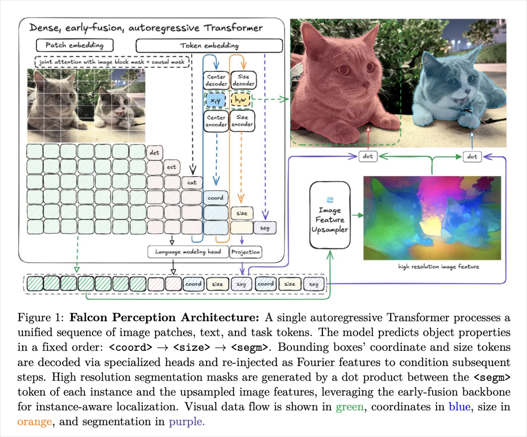 Falcon Perception architecture diagram: a single early-fusion autoregressive Transformer for OCR and perception